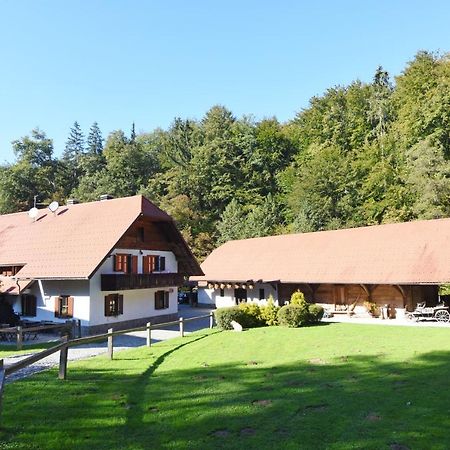 Domacija Seruga Countryside Hotel Novo Mesto Exterior photo