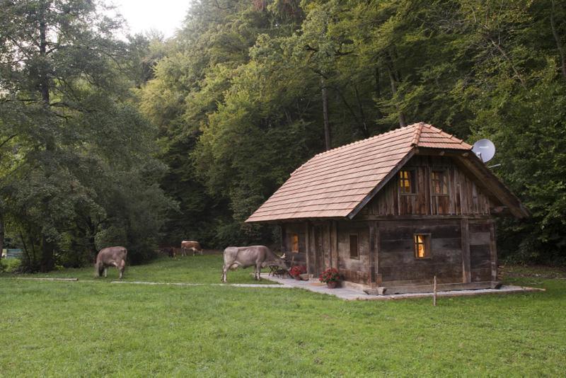 Domacija Seruga Countryside Hotel Novo Mesto Exterior photo