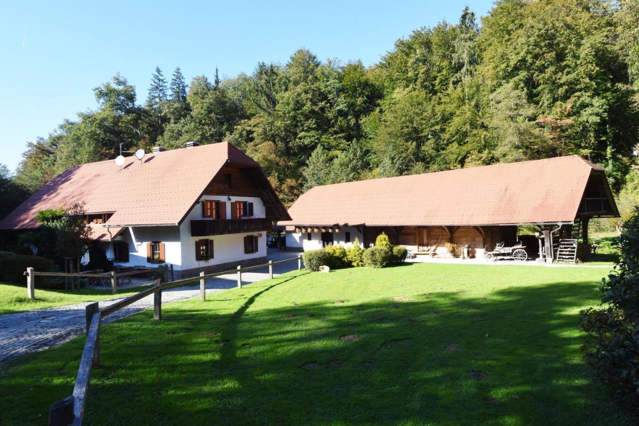 Domacija Seruga Countryside Hotel Novo Mesto Exterior photo
