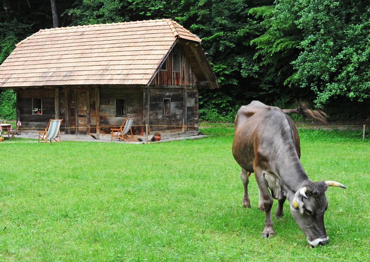 Domacija Seruga Countryside Hotel Novo Mesto Exterior photo