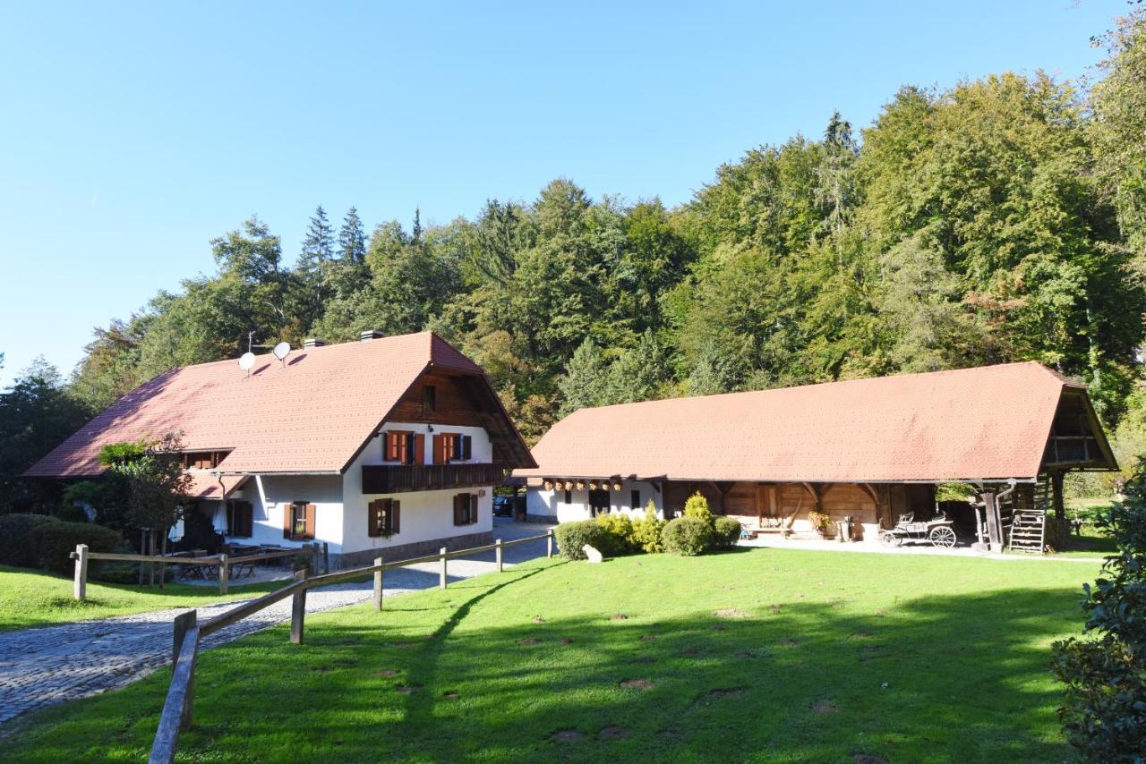Domacija Seruga Countryside Hotel Novo Mesto Exterior photo
