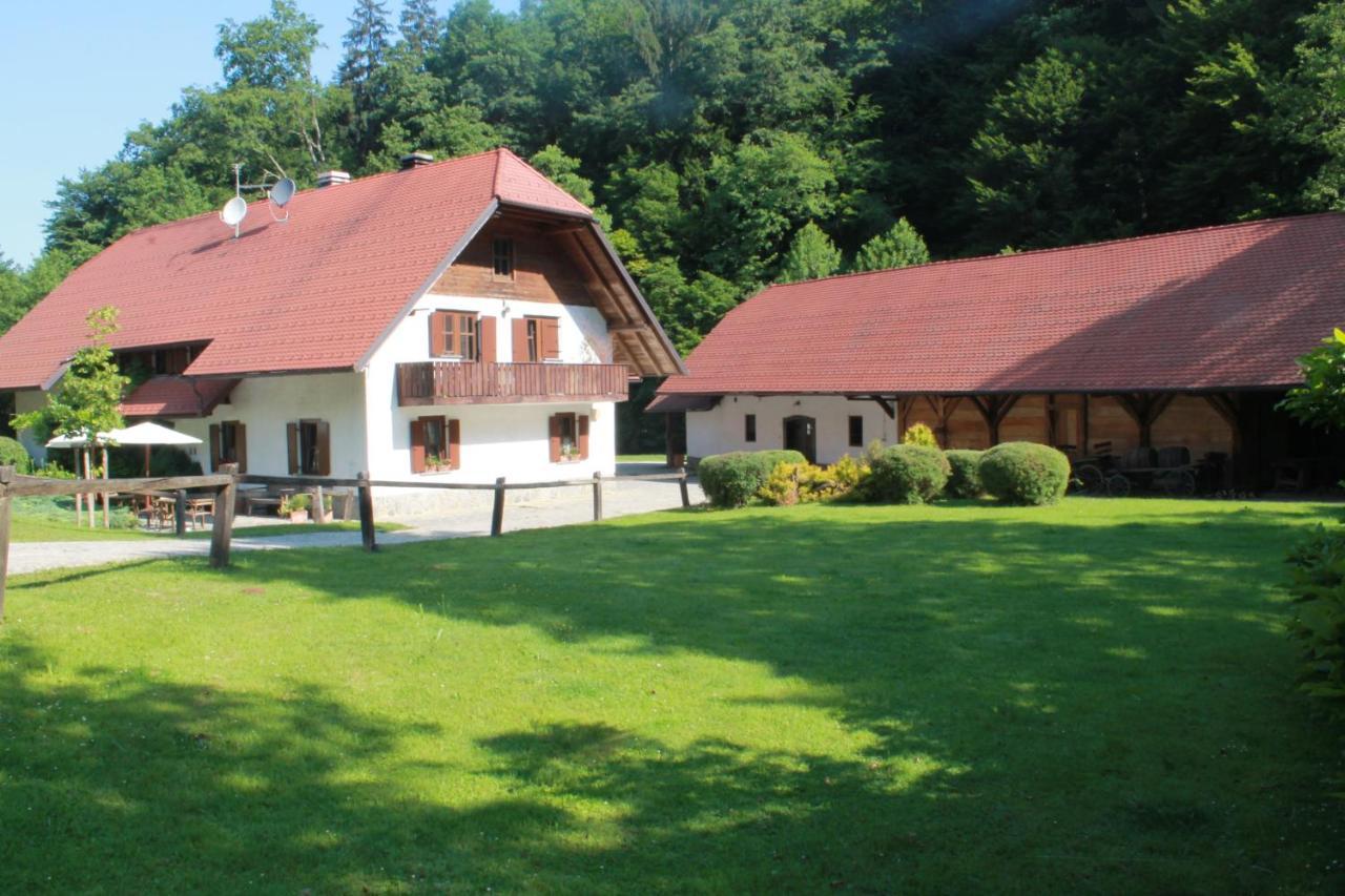 Domacija Seruga Countryside Hotel Novo Mesto Exterior photo